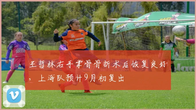 王哲林右手掌骨骨折术后恢复良好，上海队预计9月初复出